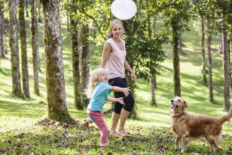 Mother and daughter playing with dog in park, Bedugul, Bali, Indonesia, Bedugul Bali Indonesia model released Symbolfoto Copyright: KonstantinxTrubavin TRKO017481