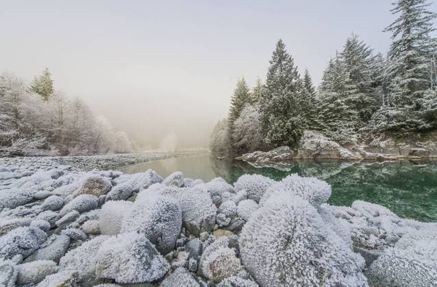 Frost on the banks of the Taylor River on the road to Tofino, British Columbia., Taylor River British Columbia Canada Copyright: AlasdairxTurner TUAL000902