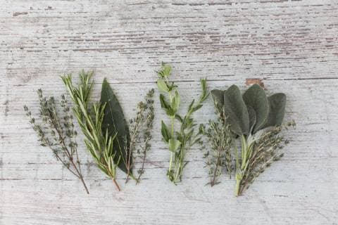 Row of fresh Provencal herbs on wood  JUNF01173