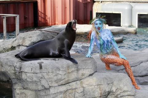 From the FARBKÖRPER Bodypainting Facetten Kalender 2019 Meerjungfrau Photoshooting with model Daniela as mermaid with sea lion in the Yukon Bay theme world of the Erlebnis Zoo Hannover FARBKÖRPER is a project of the photographer Tschiponnique Skupin showing the versatility of bodypainting Painting by Jörg Düsterwald Foto:xT.xSkupinx xFuturexImage