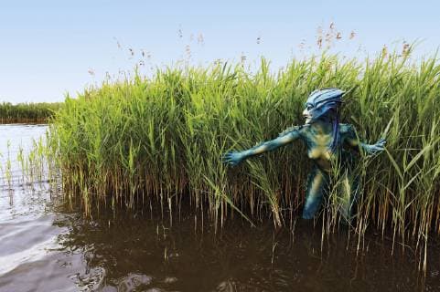 From the FARBKÖRPER Bodypainting Facetten Kalender 2019 Seeungeheuer photo shooting with model Janina as lake creature in the Steinhuder Meer near Großenheidorn FARBKÖRPER is a project of the photographer Tschiponnique Skupin and the bodypainter and transformer Enrico Lein which shows the versatility of bodypainting. Foto:xT.xSkupinx xFuturexImage