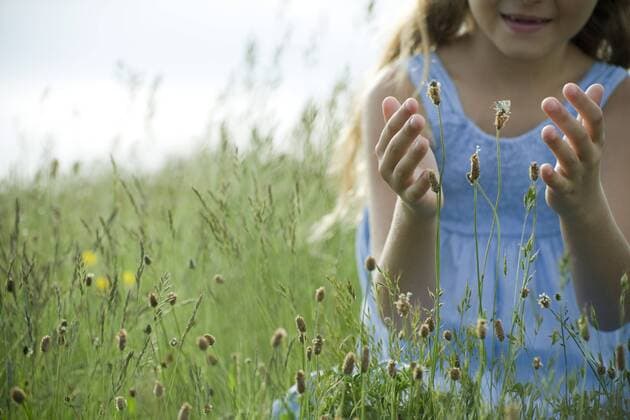 Butterfly on wildflower, girl in background attempting to catch  Copyright: LaurencexMouton B19665117