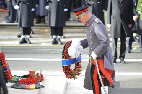 The National Service of Remembrance at the Cenotaph, London to remember those who have died from all conflicts since the First World War. The customary Two Minutes Silence is observed at 11.00 am. Following the Royal British Legion s Veterans March, 10,000 members of the public take part in A Nation s Thank You - The People s Procession. The procession past the Cenotaph is an opportunity for the public to give thanks to a generation who endured and sacrificed so much. NOVEMBER 11th 2018  TSTx184185