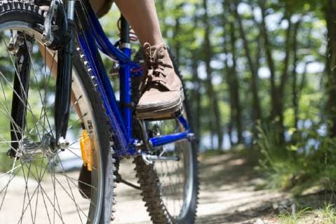 Woman riding bicycle through woods  Copyright: FrédéricxCirou B42058516