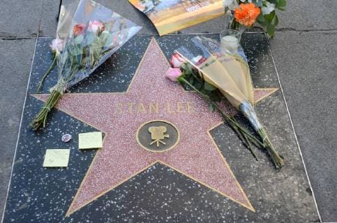 Entertainment Bilder der Woche KW46 Entertainment Bilder des Tages HOLLYWOOD, CA - NOVEMBER 12: Flowers placed on Stan Lee s Star on the Hollywood Walk of Fame after passing at the age of 95 in Hollywood, California on November 12, 2018. Copyright: xDavidxEdwardsx