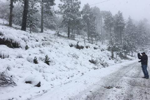 November 14, 2018 - EUM20181114ACT10.JPG.TOLUCA, Mex., WeatherClimaEdomex.- El Valle de Toluca registra este miercoles 14 de noviembre de 2018, un grado centigrado con una sensacion termica que varia hasta cinco grados, con lo que la carretera que va al Nevado de Toluca amanecio blanca por la caida de nieve. Foto: Agencia EL UNIVERSALRDB.  - ZUMAu78_ 20181114_zaf_u78_021 Copyright: xElxUniversalx
