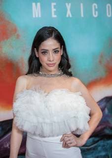 November 14, 2018 - Los Angeles, California, U.S - Fatima Molina at the red carpet of Netflix s Narcos Season 1 premiere held at Regal Cinemas at LA Live in Los Angeles, California on Wednesday, November 14, 2018. Los Angeles U.S. - ZUMAp124 20181114_zaa_p124_009 Copyright: xJavierxRojasx
