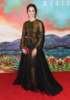 14 November 2018 - Los Angeles, California - Fernanda Urrejola. Netflix s Narcos: Mexico Season 1 Premiere held at Regal Cinemas LA Live. Photo Credit: Birdie Thompson AdMedia 232396 2018-11-14 CA Los Angeles Etats-Unis  Copyright: xAdMediax STAR_232396_072