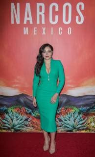 November 14, 2018 - Los Angeles, California, U.S - Teresa Ruiz at the red carpet of Netflix s Narcos Season 1 premiere held at Regal Cinemas at LA Live in Los Angeles, California on Wednesday, November 14, 2018. Los Angeles U.S. - ZUMAp124 20181114_zaa_p124_030 Copyright: xJavierxRojasx