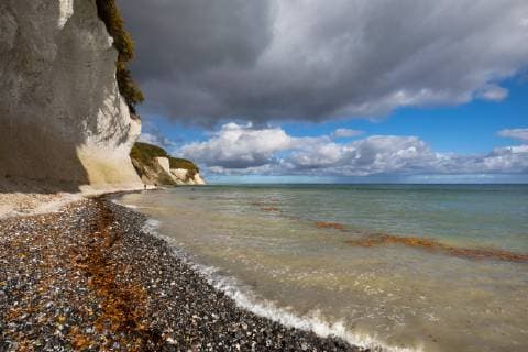 Europe Germany Mecklenburg-Western Pomerania Rügen Stubnitz Walker on the chalk cliffs of the Jasmund cliffs