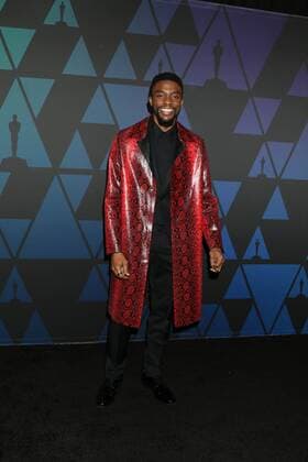 LOS ANGELES - NOV 18: Chadwick Boseman at the 10th Annual Governors Awards at the Ray Dolby Ballroom on November 18, 2018 in Los Angeles, CA  Copyright: xHutchinsxPhotox xIPAx xHutchinsxPhotox