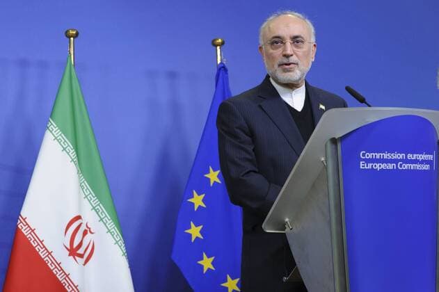 Press Conference by Ali Akbar SALEHI, Head of the Atomic Energy Organization of Iran (Vice President of the Islamic Republic of Iran) and Miguel ARIAS CANETE European Commissioner for Climate Action, at the European Commission  NicolasxLandemardx xLexPictorium LePictorium_0194871