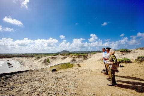 Entertainment Bilder der Woche KW48 Entertainment Bilder des Tages 30-11-2018 Antillen Princess Beatrix visiting the Washington Slagbaai National Park on the 2nd day of the 3 day visit to the island Bonaire. She visits the island at the invitation of the National Parks Bonaire Foundation (STINAPA Bonaire), a non-governmental organization that is responsible for the management of the national parks on Bonaire. STINAPA is a member of the Dutch Caribbean Nature Alliance (DCNA), of which Princess Beatrix is patroness. The park of 5,643 hectares offers a safe environment for native protected species of Bonaire such as parrots, flamingos, parakeets and iguanas. In addition, the beaches are an important breeding ground for the four types of sea turtles living in the Caribbean.  Copyright: xPPE NIEBOERx