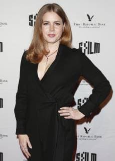 SAN FRANCISCO, CA - DEC 03: Actress Amy Adams attends the 2018 SFFilm Awards Night at The Palace of Fine Arts Exhibition Center on December, 3, 2018 in San Francisco, California. Photo: Christopher Victorio imageSPACE MediaPunch Copyright: ximageSPACEx