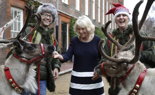 Entertainment Themen der Woche KW49 Entertainment Bilder des Tages . 06 12 2018. London, United Kingdom. Britain s Camilla, Duchess of Cornwall meets Reindeer Dancer, left, and Blitzen, right, with their handlers Karen and Jason Perrins in the gardens at Clarence House in London. Each year, The Duchess of Cornwall invites children to decorate the Christmas tree at Clarence House. This December, the event was attended by children and families supported by Helen & Douglas House and Roald Dahl s Marvellous Children s Charity.  xPoolx xi-Imagesx IIM-18981-0001