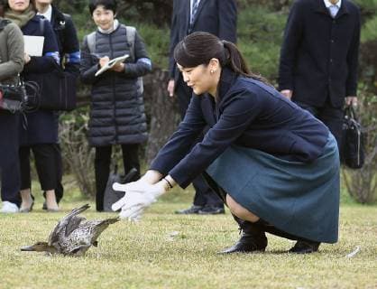 Entertainment Themen der Woche KW49 Entertainment Bilder des Tages Princess Mako at Imperial Wild Duck Preserve Japanese Princess Mako, the eldest granddaughter of Emperor Akihito, releases a duck as foreign ambassadors to Japan are invited to an event to introduce traditional Japanese duck hunting at the Shinhama Imperial Wild Duck Preserve in Ichikawa, Chiba Prefecture, on Dec. 7, 2018. 