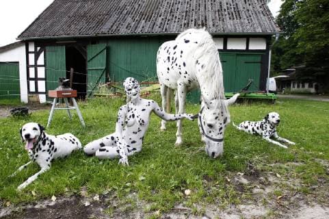 From the FARBKÖRPER Bodypainting Aspekte Kalender 2019 Dalmatiner Photoshooting with model Jessy and horse Shadow and dogs on a farm near Bielefeld FARBKÖRPER is a project of the photographer Tschiponnique Skupin showing the versatility of bodypainting Painting by Jörg Düsterwald Foto:xT.xSkupinx xFuturexImage