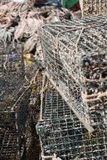 IMAGO Creative, Unsere Erde, Umweltverträgliche Herausforderungen des 21. Jahrhunderts, Überfischung Fishing traps, close-up  Copyright: JérômexGorin B05718131