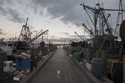 IMAGO Creative, Unsere Erde, Umweltverträgliche Herausforderungen des 21. Jahrhunderts, Überfischung Fishing boats along dock  Copyright: JérômexGorin B29317931