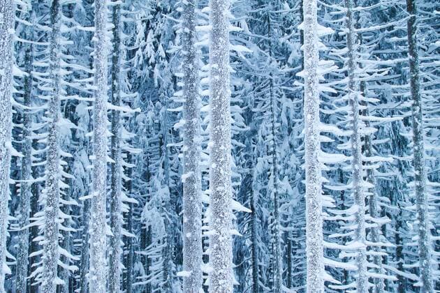 Forest with heavy snow on the boughs at mountain Alpspitz in Nesselwang, Allgäu, Bavaria, Germany, January 11, 2019. Photographer: Peter Schatz