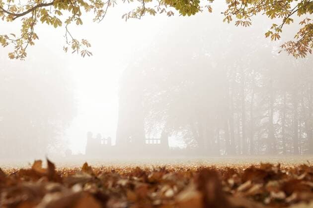 Berger-Denkmal am Hohenstein im Herbstnebel, Deutschland, Nordrhein-Westfalen, Ruhrgebiet, Witten Berger monument at the Hohenstein in autumn fog, Germany, North Rhine-Westphalia, Ruhr Area, Witten BLWS512709 Copyright: xblickwinkel S.xZiesex