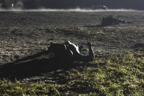 January 19, 2019 - Tlahuelipan, Hidalgo, MEXICO - A massive explosion in Tlahuelilpan, Hidalgo state, Mexico, Friday, January 18, 2019 engulfed people stealing fuel spilling from a pipeline ruptured by thieves in central Mexico killed several people and an unknown number were injured. Pemex workers work around the area of the explosion where burnt bodies remain on site. Tlahuelipan MEXICO - ZUMAp124 20190119_zaa_p124_004 Copyright: xAntonioxNavax