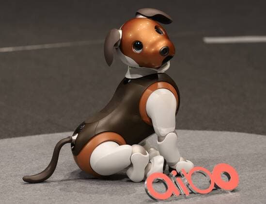 News Themen der Woche KW04 News Bilder des Tages January 23, 2019, Tokyo, Japan - Japanese electronics giant Sony introduces the newly designed robot dog aibo which will go on sale on February 1 at the company s headquarters in Tokyo on Wednesday, January 23, 2019. Sony also annouced the new service for aibo as the patrol in use s house to remotely monitor children or elderly people with a security company Secom.  (95599595)