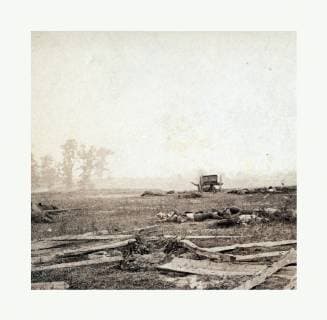 American Civil War: View on Battle Field of Antietam Where Sumner s Corps Charged the Enemy. Scene of Terrific Conflict, Showing Devastation after the Battle with Dead Soldiers on the Battlefield and a Wagon in the Background. Photo, Albumen Print  Copyright: LC130701_0013