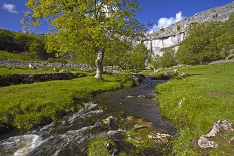 A view of Malham Cove in Malhamdale, Yorkshire Dales National Park, North Yorkshire, England, United Kingdom, Europe Copyright: GranvillexHarris 1298-66
