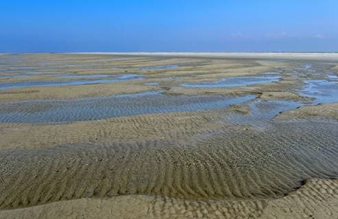 Von Wind und Gezeitenströmung geformte Sandoberfläche im Watt, Nationalpark Schleswig-Holsteinisches Wattenmeer, Westerhever, Schleswig-Holstein, Deutschland *** Wadden sea sand shaped by wind and tidal currents, Schleswig-Holstein Wadden Sea National Park, Westerhever, Schleswig-Holstein, Germany