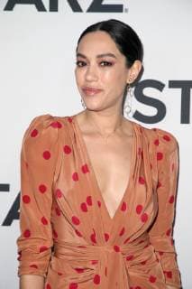 LOS ANGELES, CA - FEBRUARY 12: Mishel Prada at the STARZ TCA Red Carpet Event at 71Above in Los Angeles, California on February 12, 2019. Copyright: xFayexSadoux