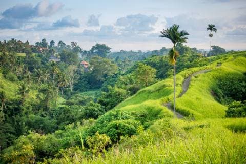 IMAGO Nature: Unsere Erde, Umweltverträgliche Herausforderungen des 21. Jahrhunderts, Regenwald Kleinstadt Ubud in der huegeligen Landschaft von Bali, Indonesien, Bali, Ubud View of the village of Ubud in the hilly ladscape of the island of Bali, Indonesia, Indonesia, Bali, Ubud BLWS516811 Copyright: xblickwinkel McPHOTO M.xGannx