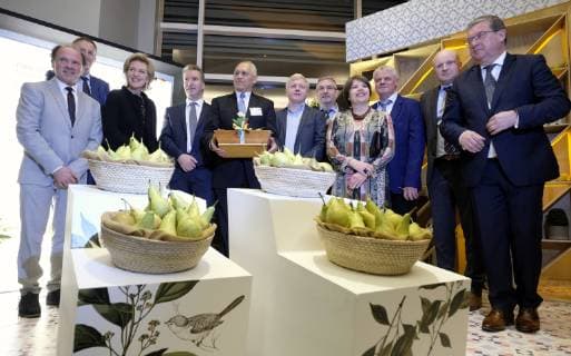 Flemish Minister of Employment, Economy, Innovation, Science Policy and Sports Philippe Muyters, Princess Astrid of Belgium, Javier Trujillo Arriaga of Senasica, Walloon vice-minister president and minister of Economy, Employment and Formation Pierre-Yves Jeholet and Brussels region State Secretary Cecile Jodogne pose for the photographer with pears during a Promotion Event called Belgian Pears in Mexico, on the second day of a Belgian economic mission to Mexico, Monday 18 February 2019. Several federal and regional ministers accompany the princess on an economic mission to Mexico from 17 to 24 February.  ERICxLALMAND 05533607