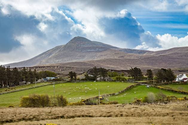 Naturlandschaft mit Schafszucht bei Donegal, Irland, Donegal Natural landscape with sheep farming nearby Donegal, Ireland, Donegal BLWS516959 Copyright: xblickwinkel McPHOTO M.xGannx