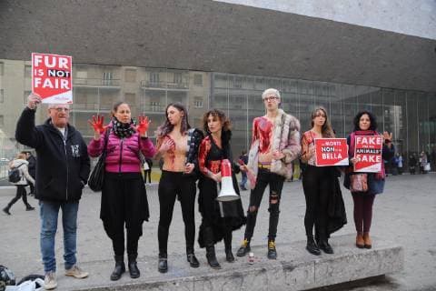 Flash mob animalist vegan hyenas in front of the entrance of the Max Mara fashion show in via Roentgen to protest against the use of fur by the brand (Massimo Alberico, Milan - 2019-02-21) p.s. la foto e utilizzabile nel rispetto del contesto in cui e stata scattata, e senza intento diffamatorio del decoro delle persone rappresentate  Copyright: xMassimoxAlbericox xIPAx xFOTOGRAMMAx 0