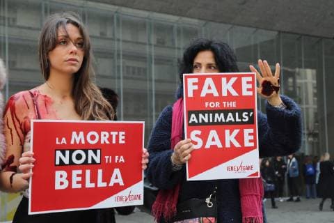 Flash mob animalist vegan hyenas in front of the entrance of the Max Mara show in via Roentgen to protest against the use of fur by the brand (Massimo Alberico, Milan - 2019-02-21) p.s. la foto e utilizzabile nel rispetto del contesto in cui e stata scattata, e senza intento diffamatorio del decoro delle persone rappresentate  Copyright: xMassimoxAlbericox xIPAx xFOTOGRAMMAx 0