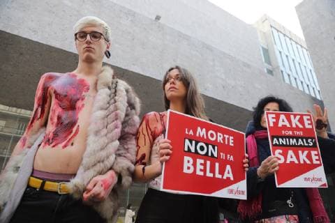Flash mob animalist vegan hyenas in front of the entrance of the Max Mara show in via Roentgen to protest against the use of fur by the brand (Massimo Alberico, Milan - 2019-02-21) p.s. la foto e utilizzabile nel rispetto del contesto in cui e stata scattata, e senza intento diffamatorio del decoro delle persone rappresentate  Copyright: xMassimoxAlbericox xIPAx xFOTOGRAMMAx 0