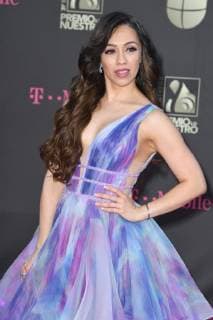Rosy McMichael walks the red carpet at the Univision 2019 Premio Lo Nuestro a La Música Latina award show at the American Airlines Arena in Miami,Florida, February 21, 2019.  MIA20190221120 GARYxIxROTHSTEIN