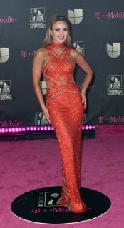 Ximena Cordoba walks the red carpet at the Univision 2019 Premio Lo Nuestro a La M?sica Latina award show at the American Airlines Arena in Miami,Florida, February 21, 2019.  MIA20190221152 GARYxIxROTHSTEIN
