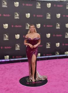 Former Venezuelan beauty queen Migbelis Castellanos poses on the magenta carpet of the Lo Nuestro Awards at the American Airlines Arena in Miami, USA, 21 February 2019. Lo Nuestro celebrates today a new edition of these popular voting awards organized by the network Univision and which awards the best Hispanic artists of the last year. Lo Nuestro Awards 2019 !ACHTUNG: NUR REDAKTIONELLE NUTZUNG!  Copyright: xGastonxDexCardenasx AME6747 20190222-636864061008686095