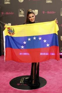 MIAMI, FL - FEBRUARY 21: Ninel Conde at the 31st Annual Premio Lo Nuestro at the AmericanAirlines Arena in Miami, Florida on February 21, 2019. Copyright: xMajoxGrossix