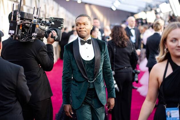 David Oyelowo arrives on the red carpet of The 91st Oscars at the DolbyÂ® Theatre in Hollywood, CA on Sunday, February 24, 2019.  Copyright: xA.M.P.A.S.x 33781_369PLX