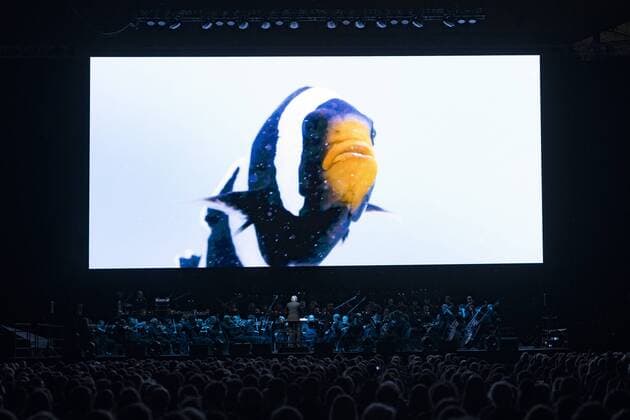 Entertainment Themen der Woche KW09 Entertainment Bilder des Tages Unser Blauer Planet II, Live in Concert mit dem Symphonie Orchester Prag, Olympiahalle Muenchen. 28.02.2019 *** Our Blue Planet II Live in Concert with the Symphony Orchestra Prague Olympic Hall Munich 28 02 2019
