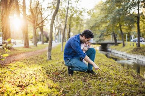 IMAGO Creative: Herbst, Kastanien sammeln Father searching for chestnuts in park, with baby daughter on his lap model released Symbolfoto  DIGF03186