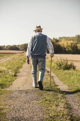 Senior man with a walking stick, walking in the fields, rear view model released Symbolfoto  UUF15496