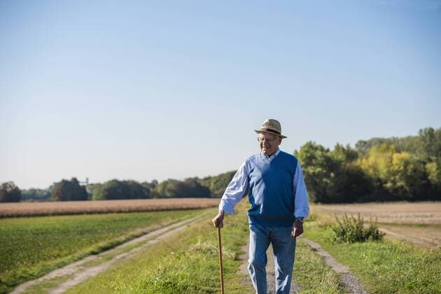 Senior man with a walking stick, walking in the fields model released Symbolfoto  UUF15499