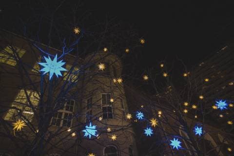 Germany, Berlin, Christmas decoration, Moravian stars hanging in trees  ASCF00765