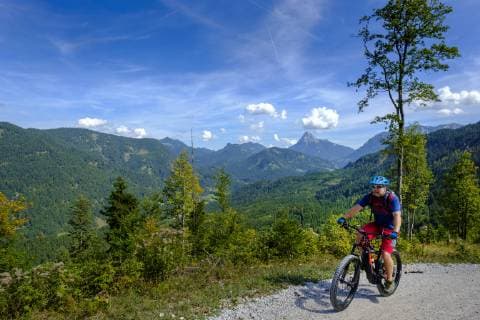 Austria, Tyrol, Juifen, Rotwand mountain pasture, mature men on mountain bike model released Symbolfoto  LBF02234