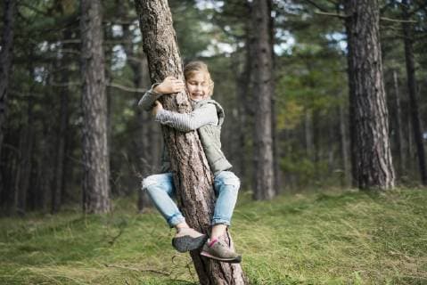 Girl hugging a tree in the forest model released Symbolfoto  MOEF01647