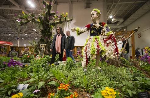 News Bilder des Tages (190308) -- TORONTO, March 8, 2019 (Xinhua) -- People visit the 2019 Canada Blooms in Toronto, Canada, March 8, 2019. The annual world-class event connects people to the joys and benefits of nature through experiences with gardens and flowers from March 8 to 17. (Xinhua Zou Zheng) CANADA-TORONTO-CANADA BLOOMS 